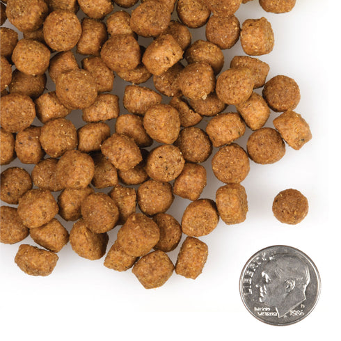 Fromm Gold Puppy Large Breed Dry Dog Food - Chicken - 15lb Bag